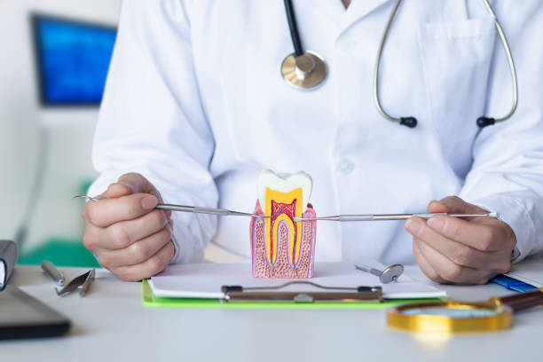 Best Emergency Dental Care for Broken or Chipped Teeth in Emigsville, PA